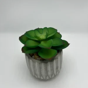 Suculenta artificial (6)