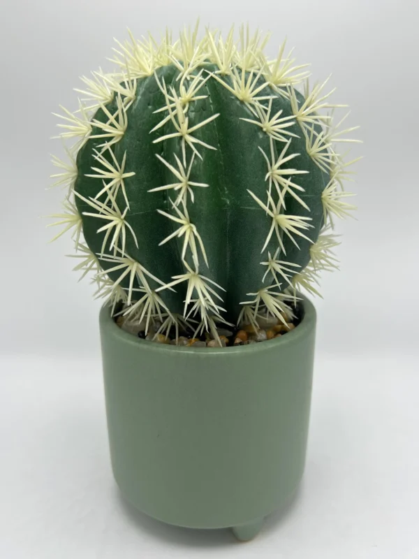 cactus falso pequeño