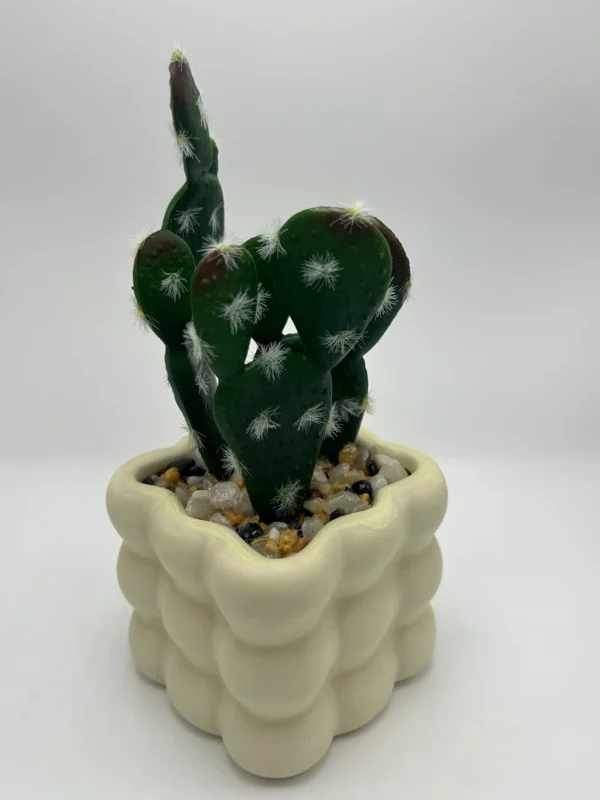 pequeñas plantas de cactus falsas