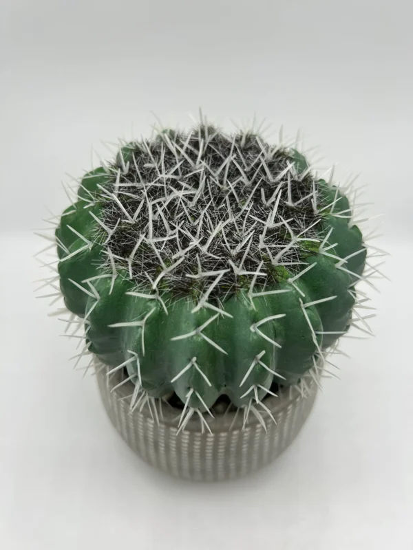 pequeñas plantas falsas
