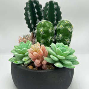 pequeñas plantas falsas