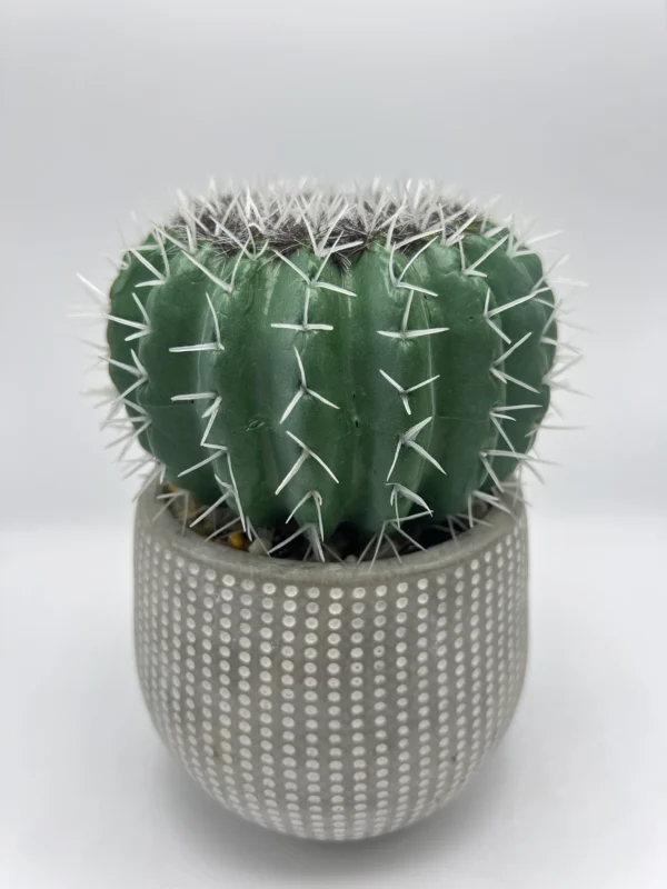 plantas falsas pequeñas