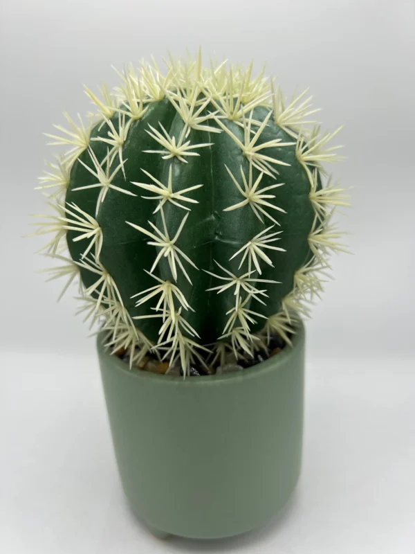tallo de cactus