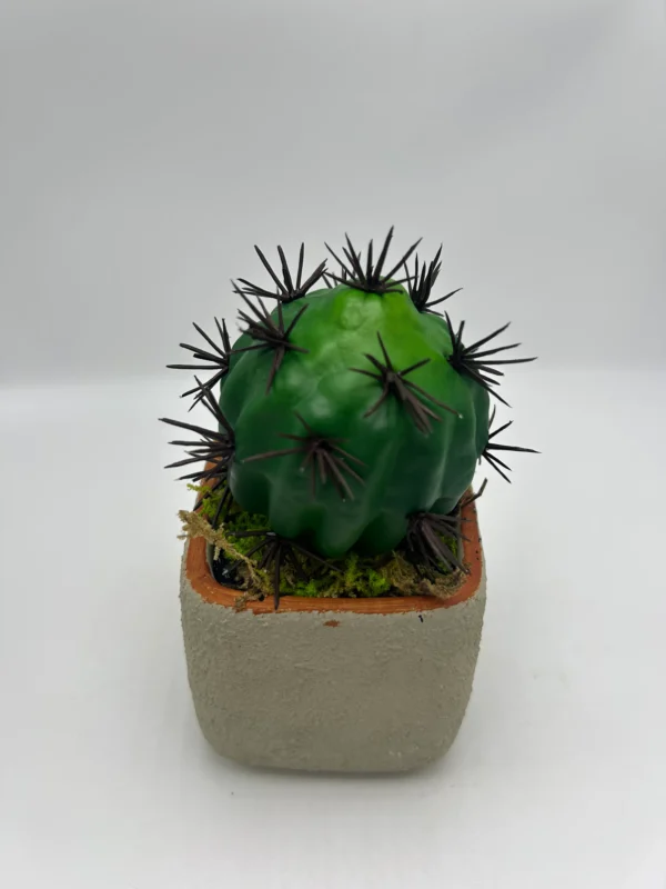 Cactus de tuna artificial