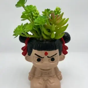 Indoor decorative planter