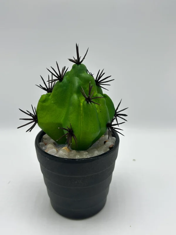grandes plantas de cactus falsas