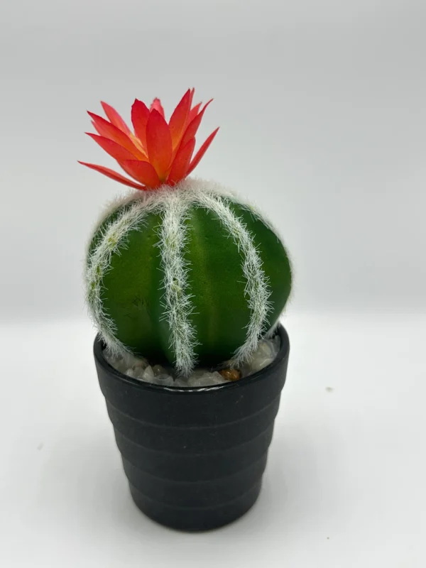 mini cactus falsos