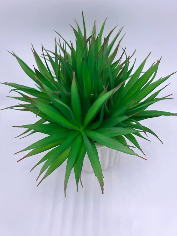 pequeñas plantas de cactus falsas