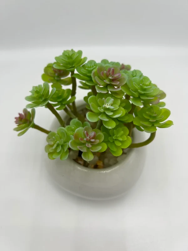 suculentas artificiales en venta (3)