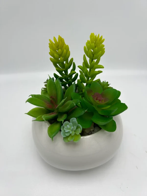 suculentas artificiales en venta (5)