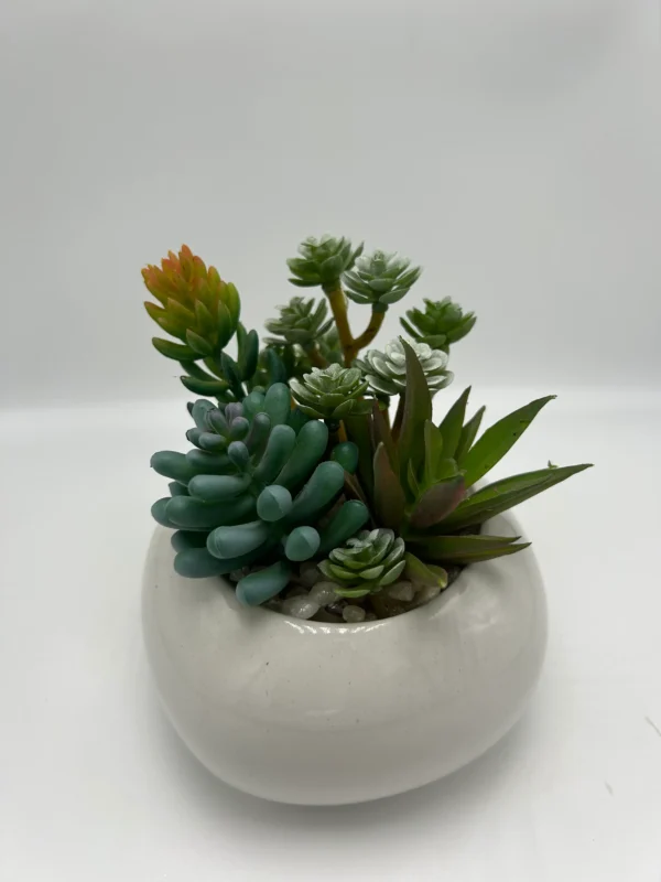 suculentas artificiales en venta