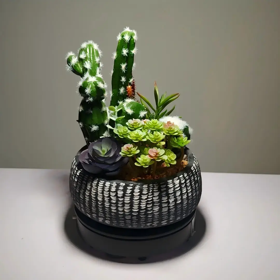 DR0001 (1) profile - suculentas artificiales realistas