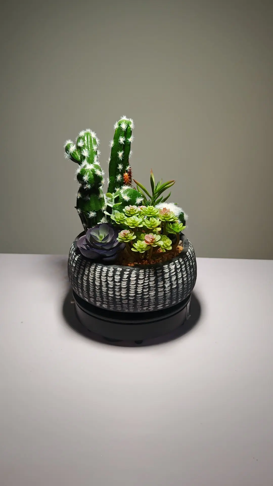 DR0001 (1) - suculentas artificiales realistas