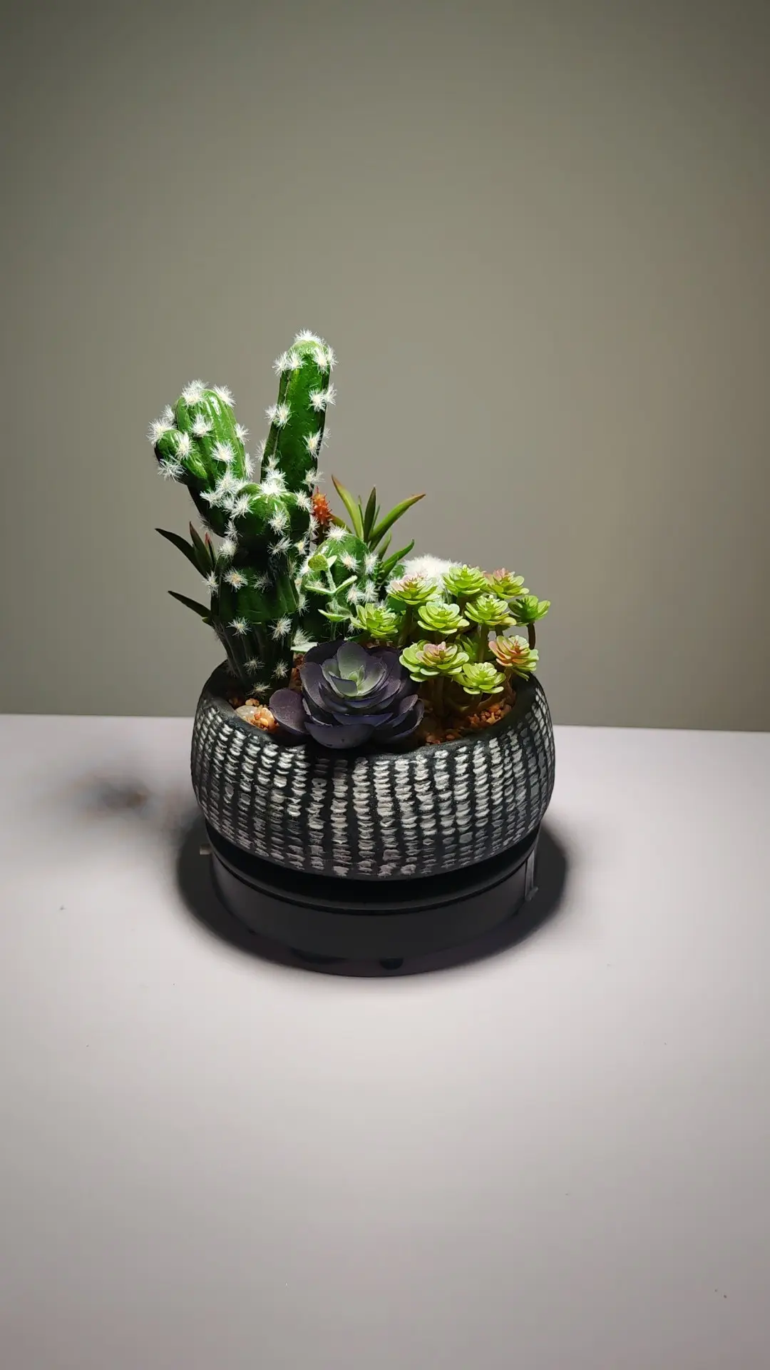 DR0001 (10) - suculentas artificiales realistas