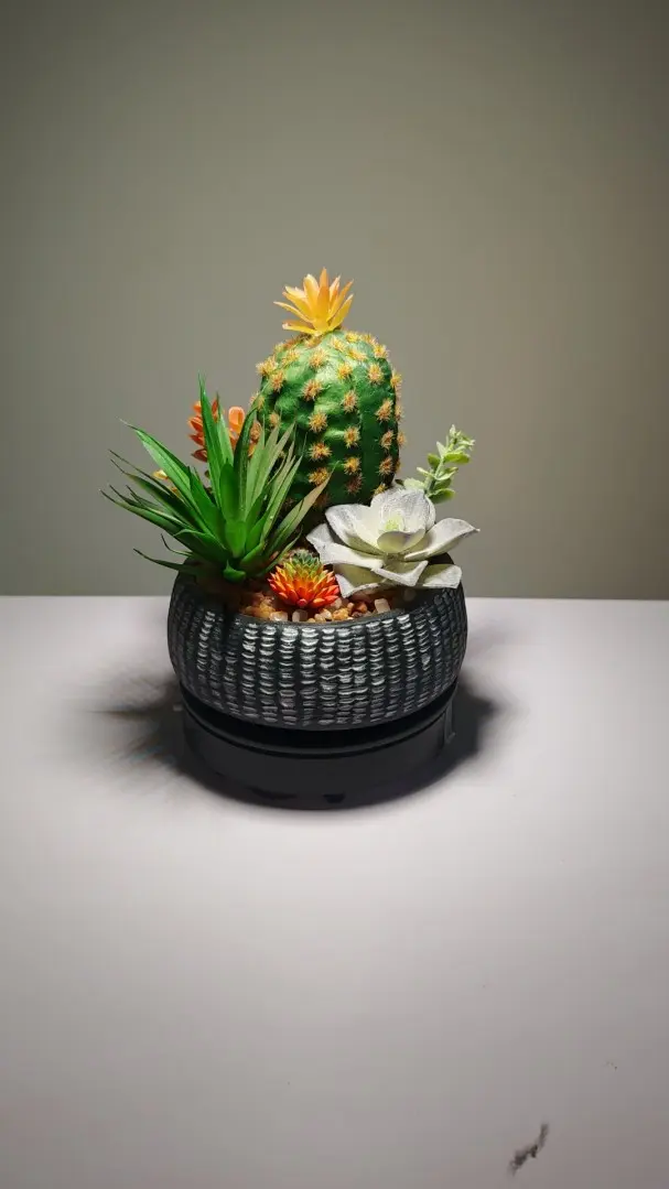 DR0002 (1) - suculenta artificiales christmas