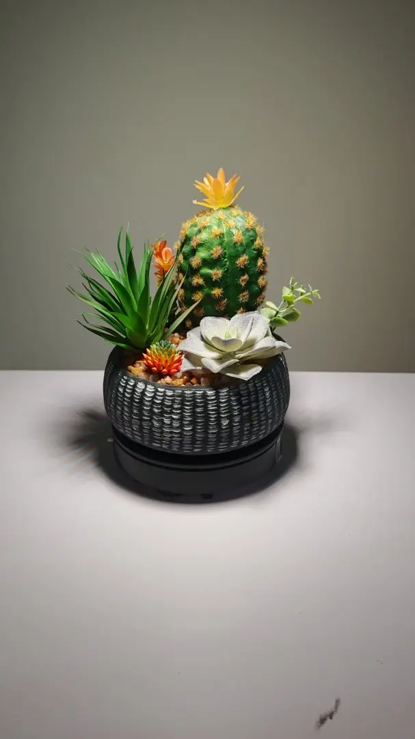 DR0002 (2) - suculenta artificiales christmas