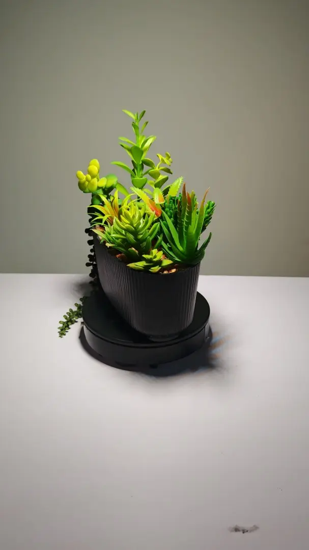 DR0005 (2) - Suculentas Artificiales En Venta