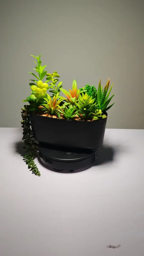 DR0005 (3) - Suculentas Artificiales En Venta