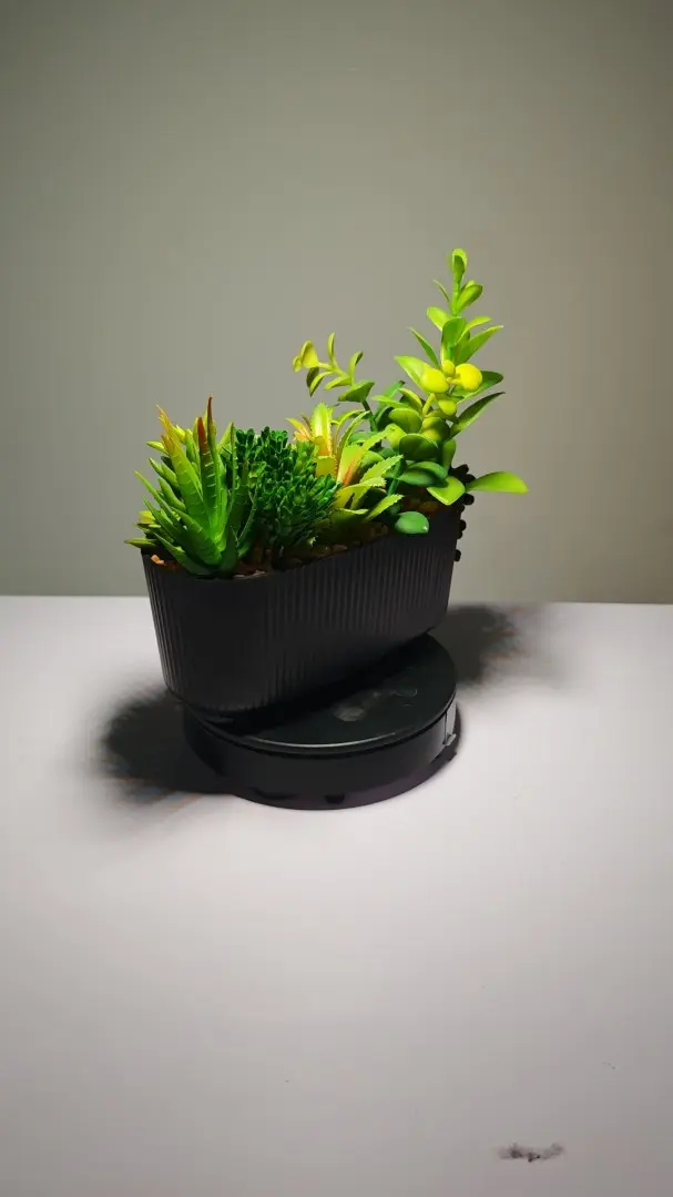 DR0005 (4) - Suculentas Artificiales En Venta