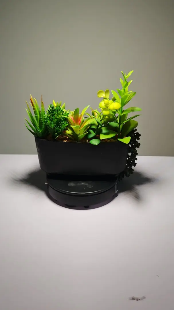 DR0005 (5) - Suculentas Artificiales En Venta