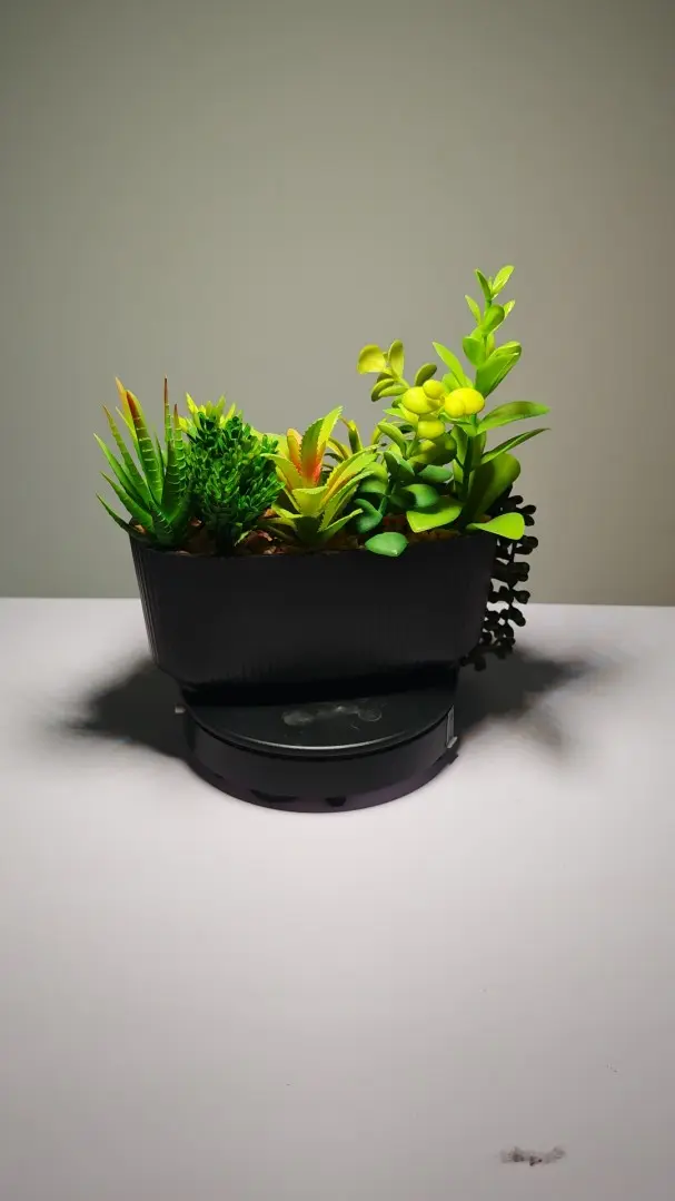 DR0005 (6) - Suculentas Artificiales En Venta