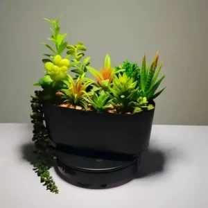 DR0005(2) profile - Suculentas Artificiales En Venta