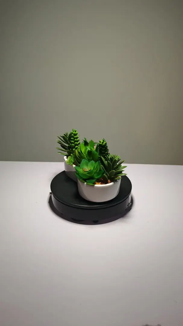 DR0007 (3) - planta artificial en maceta