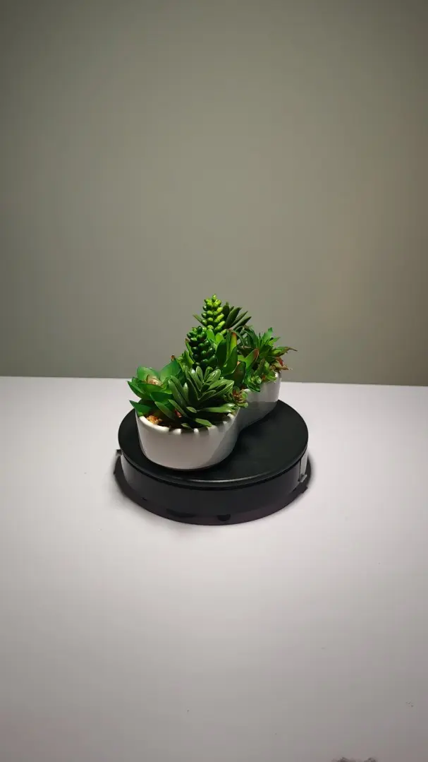 DR0007 (4) - planta artificial en maceta