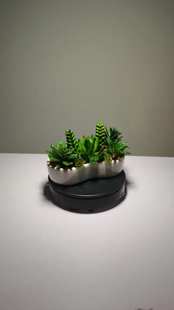 DR0007 (5) - planta artificial en maceta