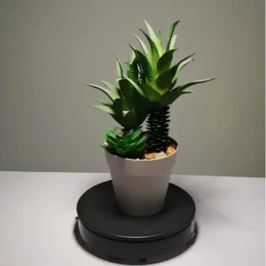 DR0008 (5) profile - mini cactus falsos