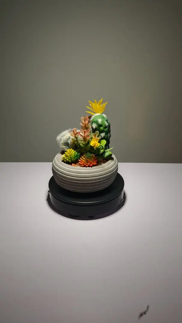 DR0010 (2) plantas artificiales de exterior