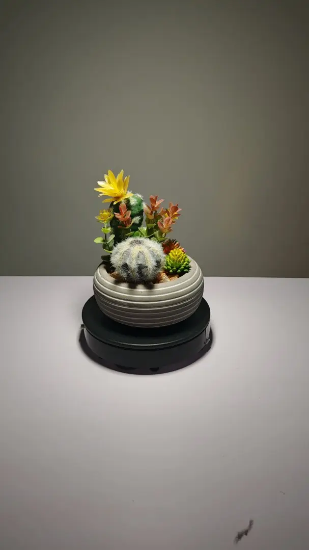 DR0010 (3) plantas artificiales de exterior