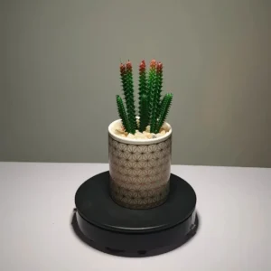 DR0016 (1) profile - plantas artificiales con jarrón