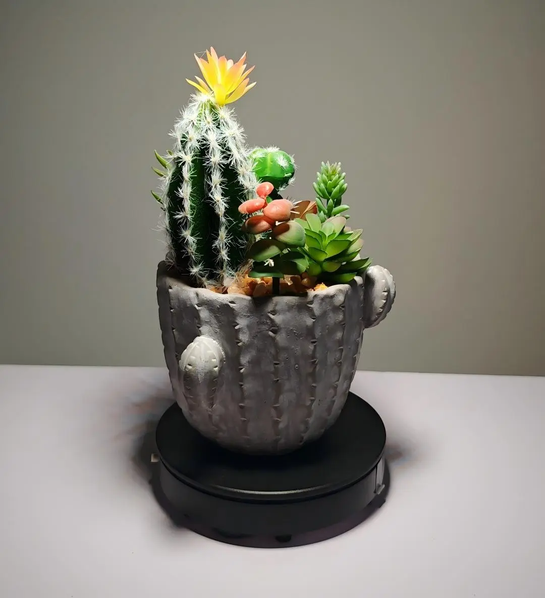 DR0019 - suculenta artificial