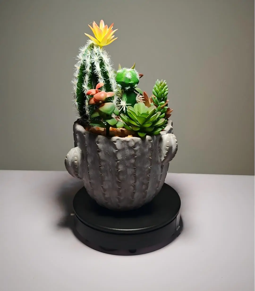 DR0019 - suculenta artificial