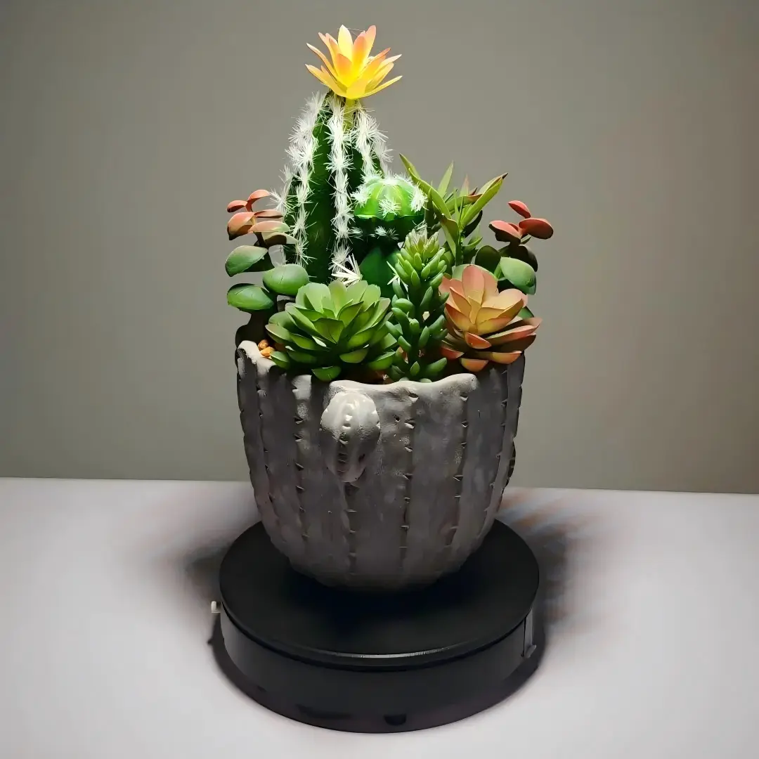 DR0019 - suculenta artificial