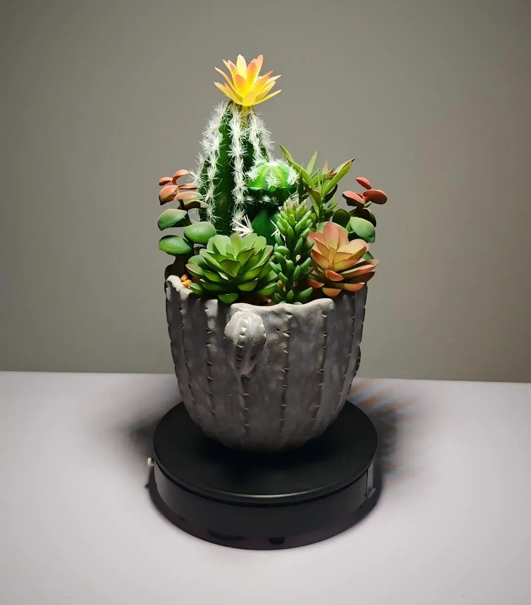 DR0019 - suculenta artificial