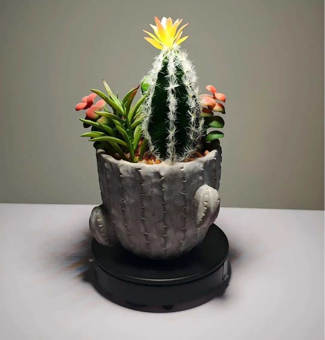 DR0019 - suculenta artificial