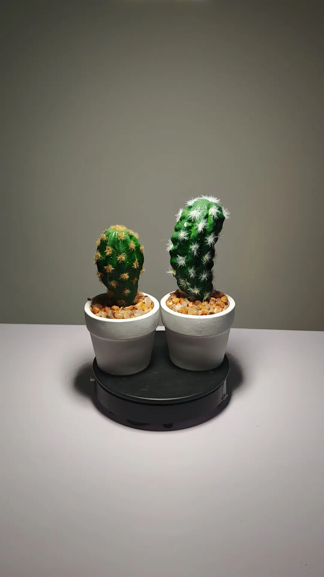 DR0021 (1) - suculenta artificial realista