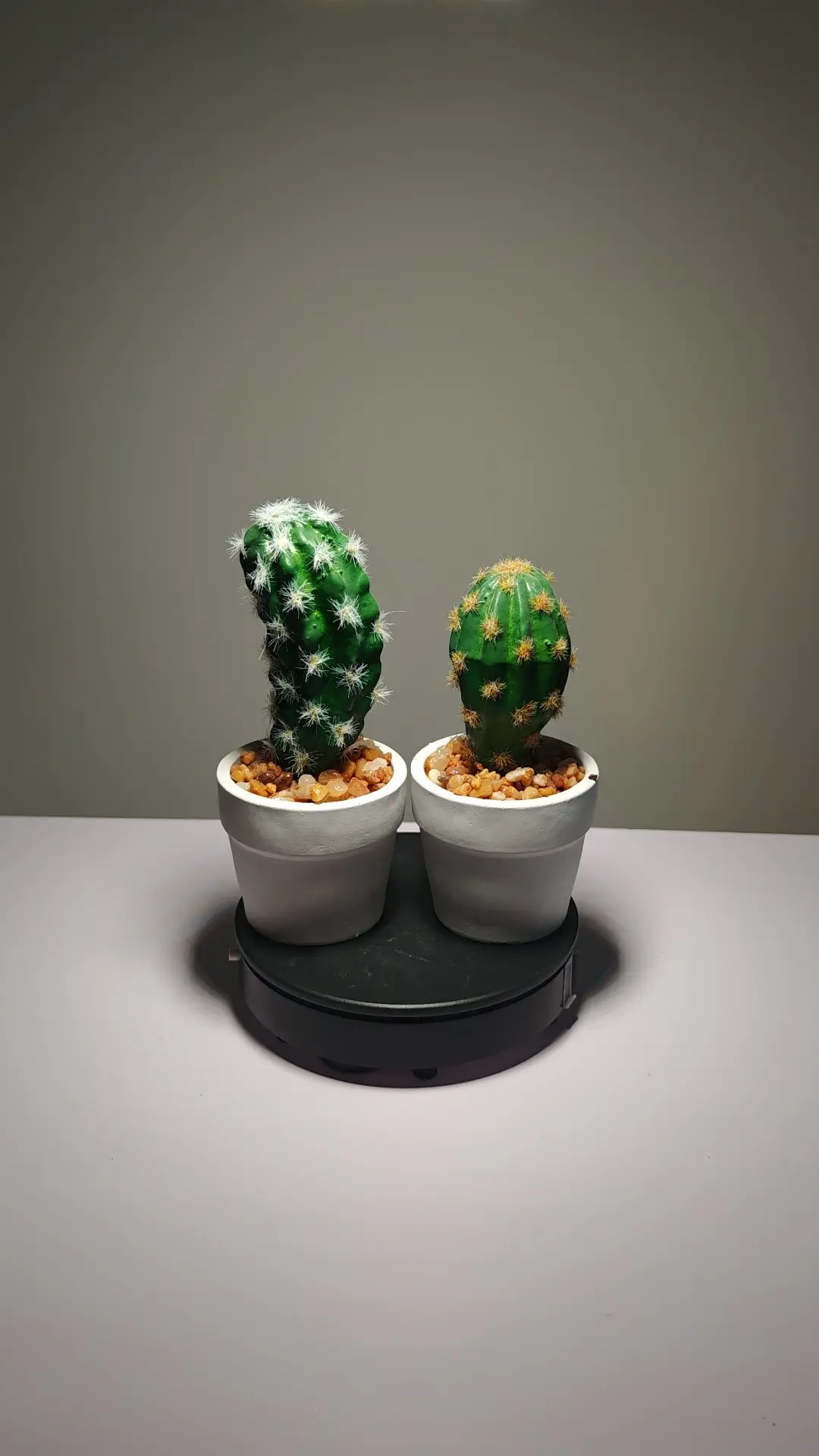 DR0021 (3) - suculenta artificial realista