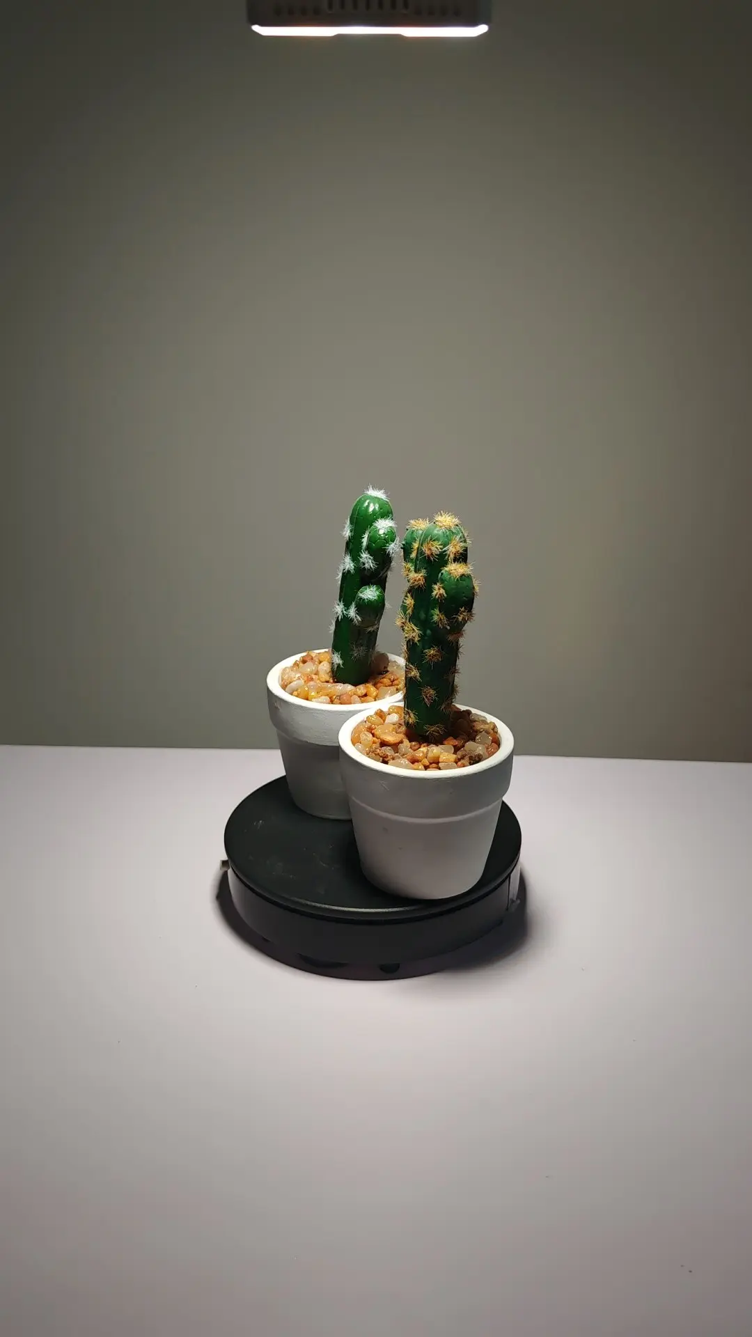 DR0022 (2) - succulent arrangements