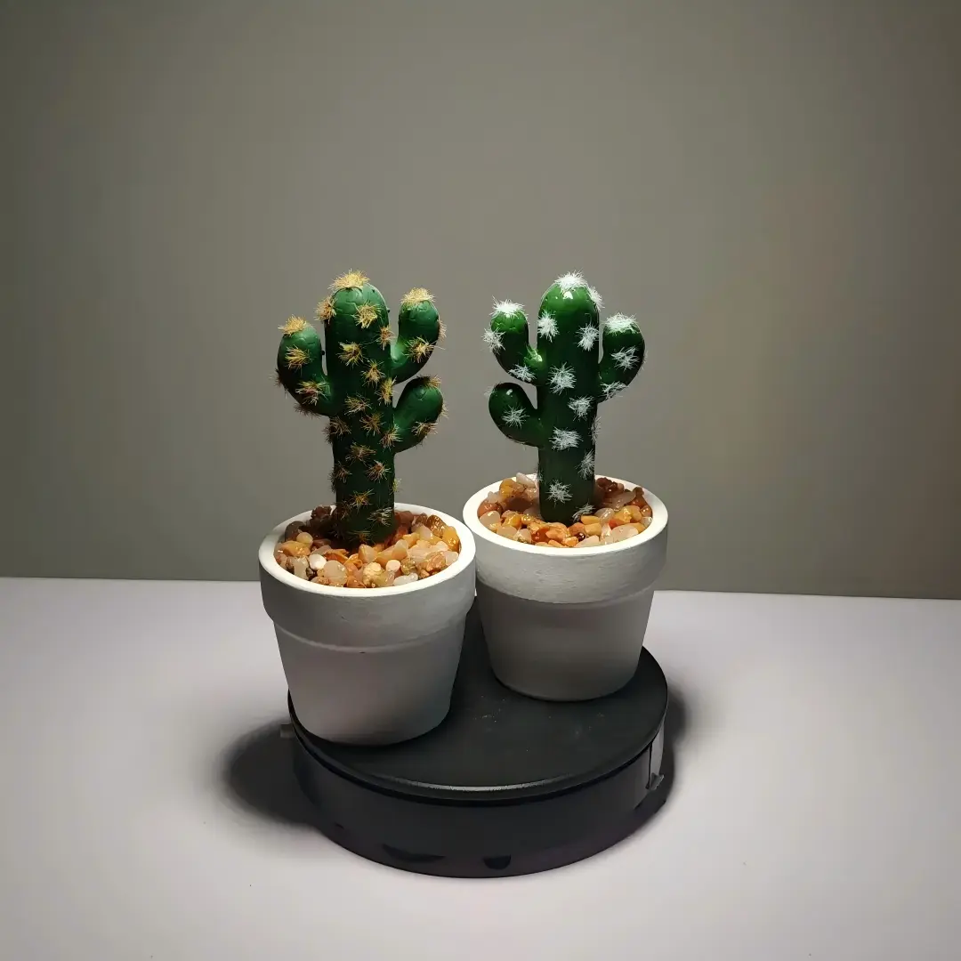 DR0022 (3) profile - succulent arrangements