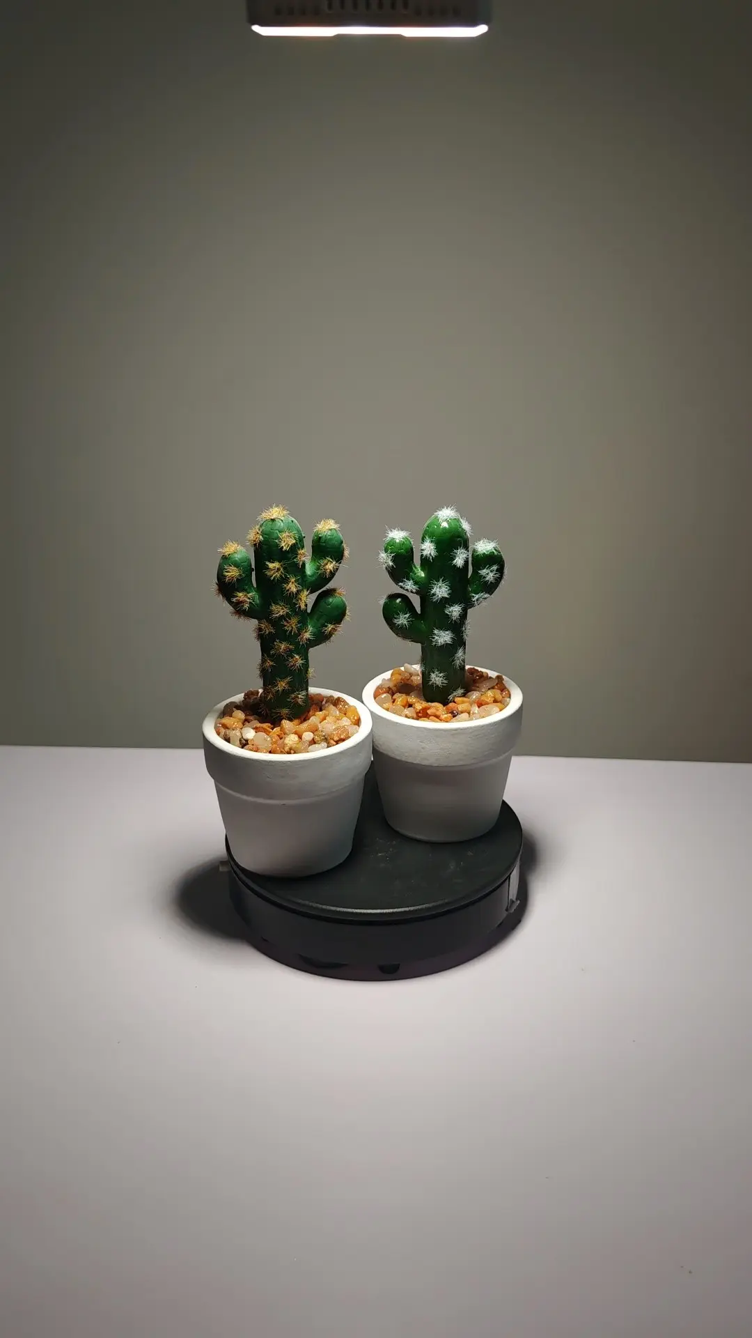 DR0022 (3) - succulent arrangements