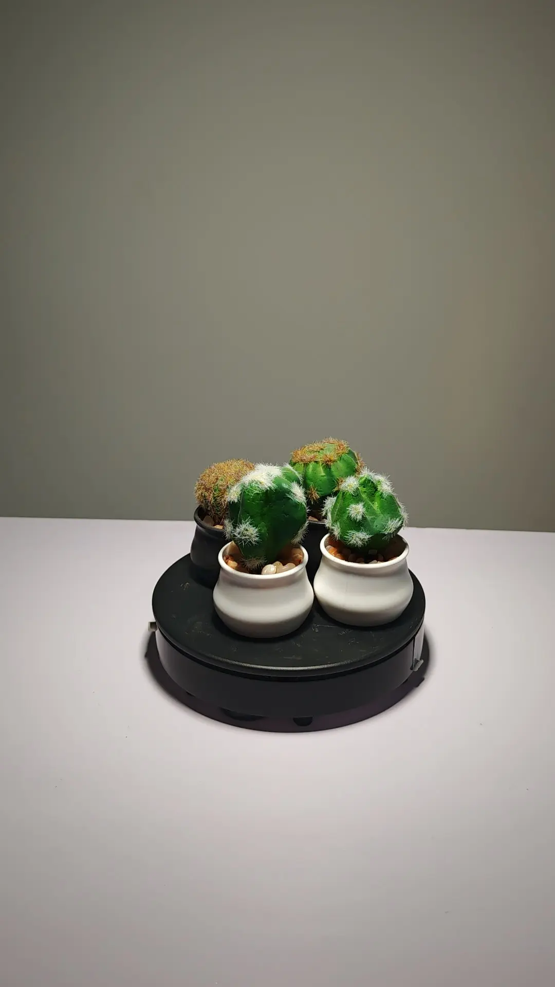 DR0024 (1) - suculenta artificial mini