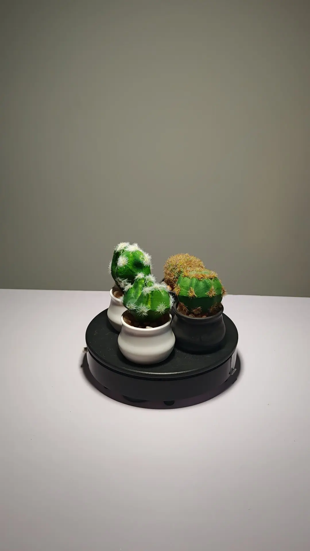 DR0024 (2) - suculenta artificial mini