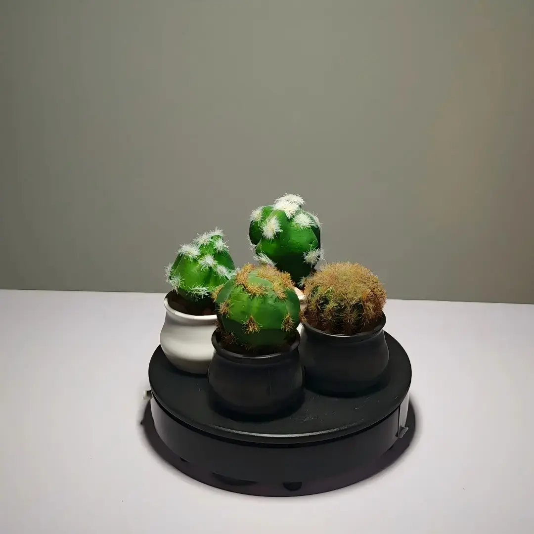 DR0024 (4) profile - suculenta artificial mini