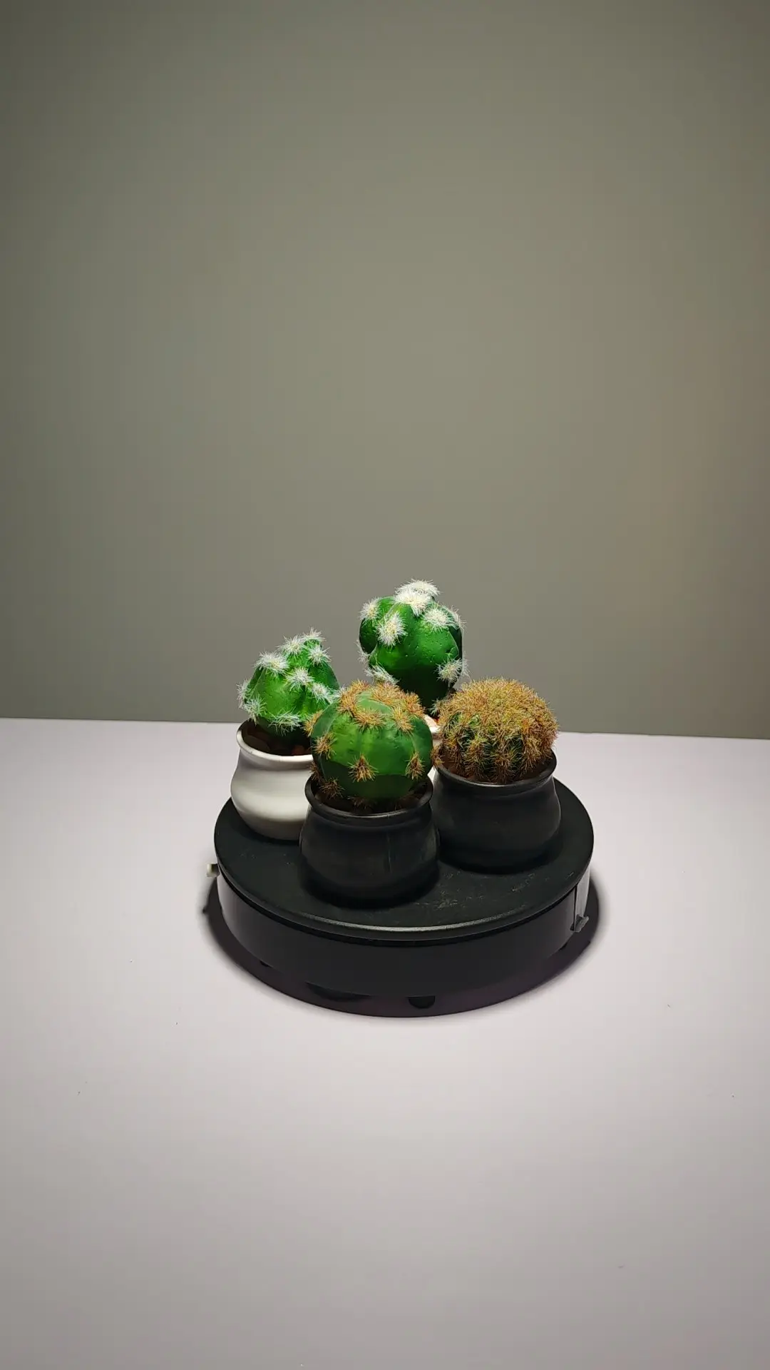 DR0024 (4) - suculenta artificial mini