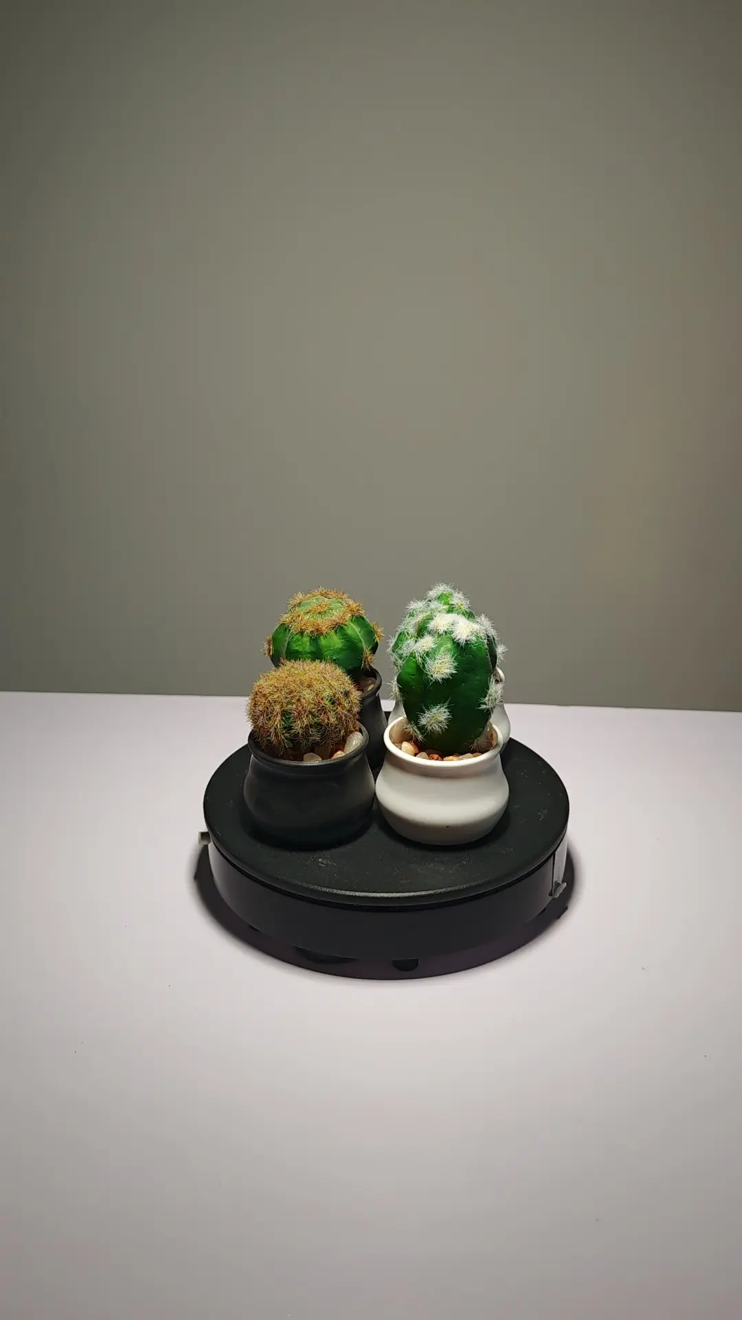 DR0024 (5) - suculenta artificial mini