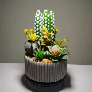 DR0025 (3) profile - suculenta artificial sem vaso