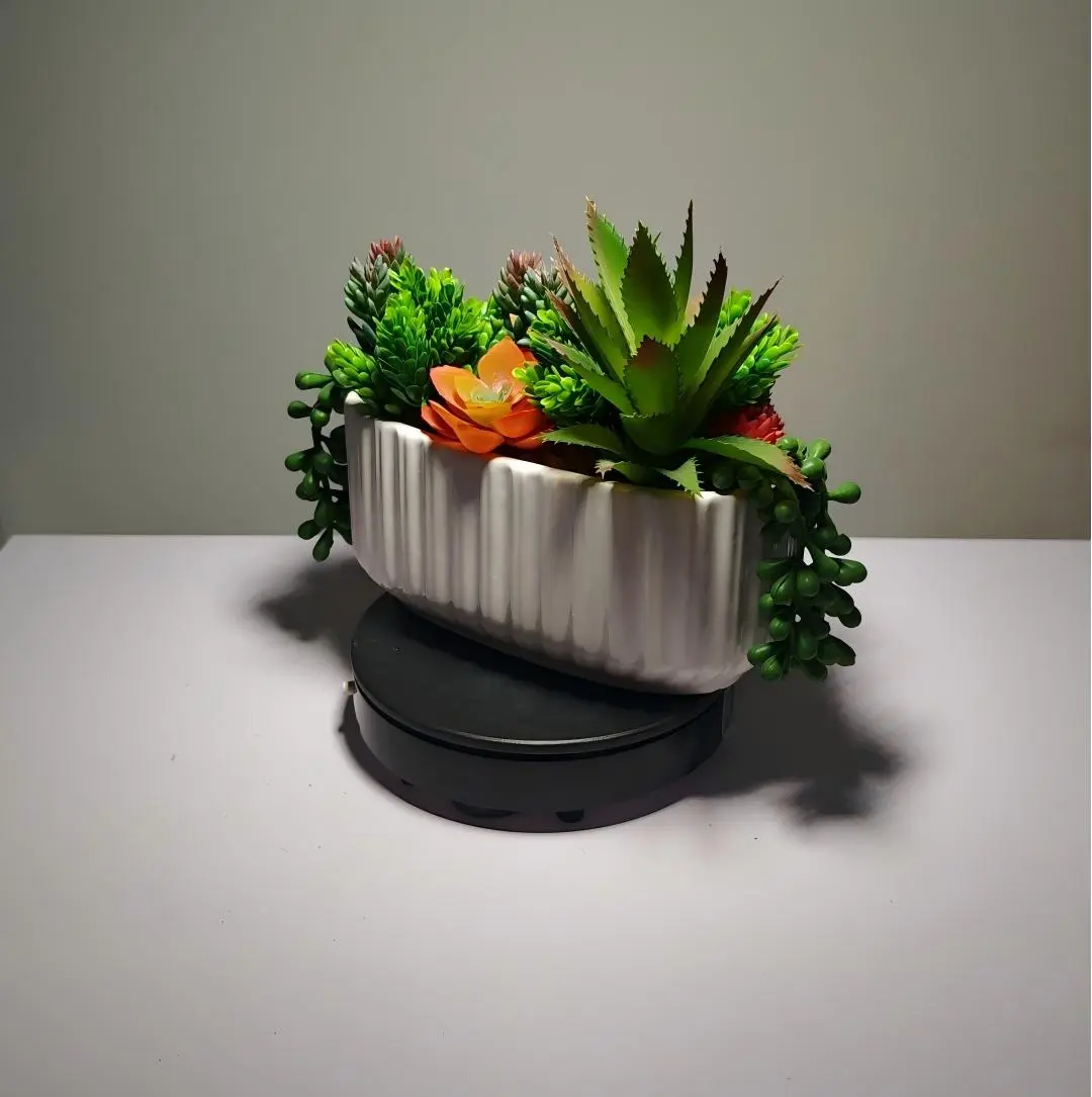 DR0028 (1) - planta suculenta artificial decoração